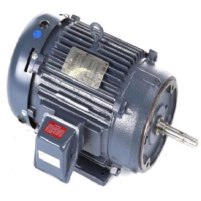 Pump Motor