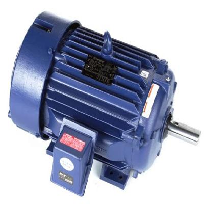 Extended Shaft Cooling Tower Motor