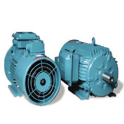 ABB Induction Motor