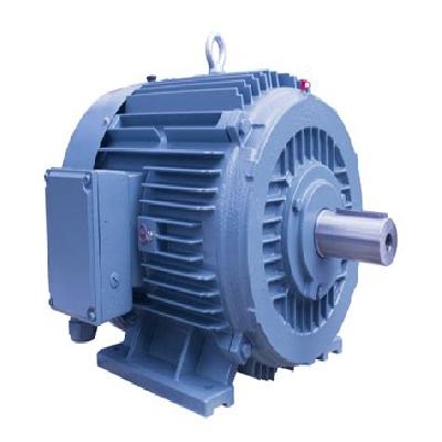 Online Induction Motor Efficiency Testing