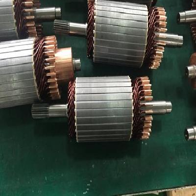 Starter Armatures for Automobile Industry