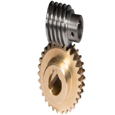 Worm Gear Set