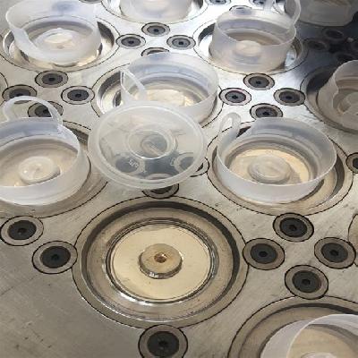 Plastic Cap Mould