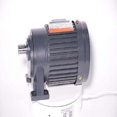 Three Phase Induction Motor