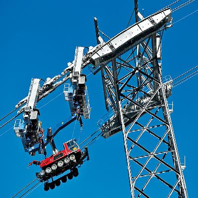 Grip Assembly for aerial ropeway