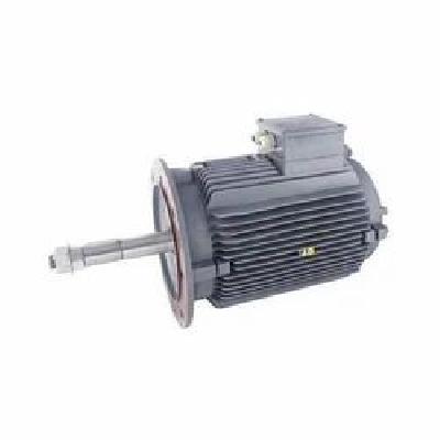 Cooling Tower Motor