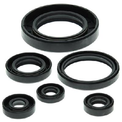 Oil Seal Kit