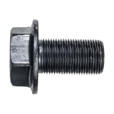 Frame Bolt