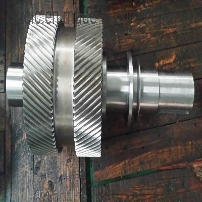 Pinion Shafts