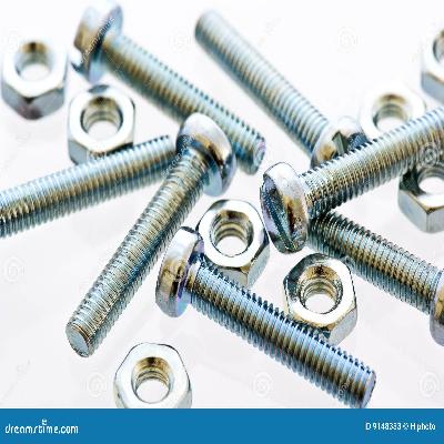 Small Screws With Nut