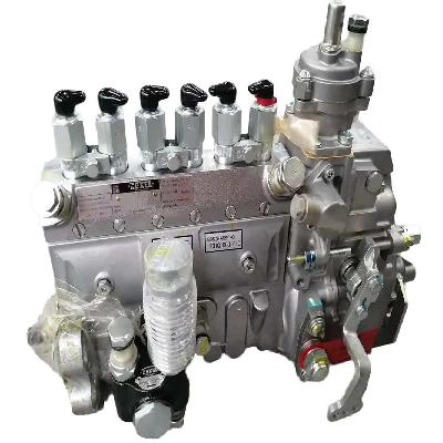 Cummins Pump