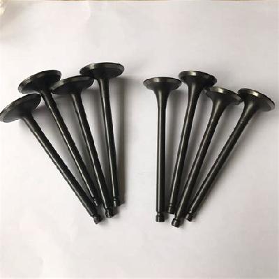Intake And Exhaust Valve