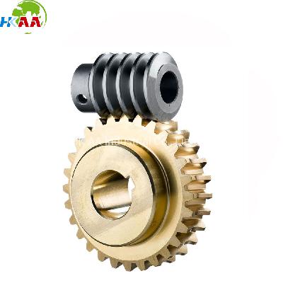 Worm Wheel Gear