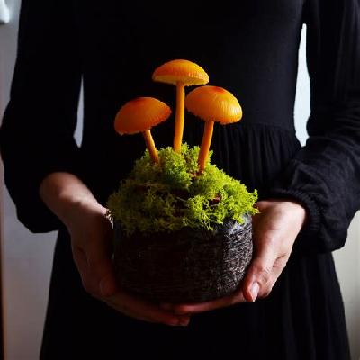 Mashroom Night Lamp