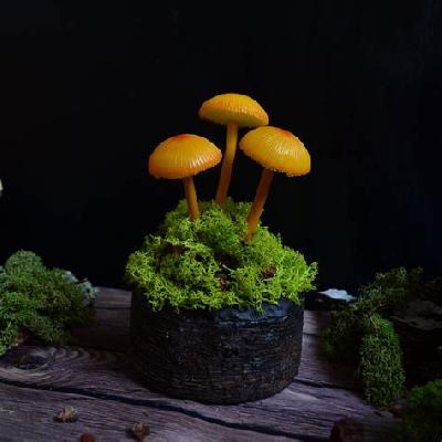 Mushroom LED Night Light