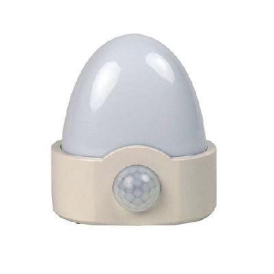 Night Sensor Light