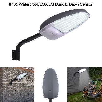 Street Sensor Light