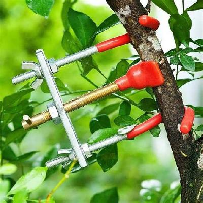 Bonsai Garden Tools