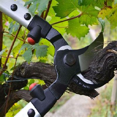 Falcon Gardening Black Khurpas