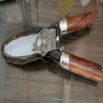 Falcon Wooden Handle Hedge Shear