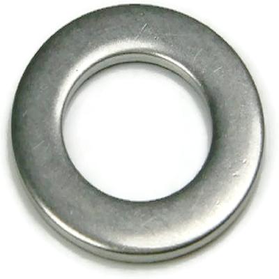 SS Plain Washer