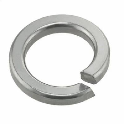 SS Spring Washer