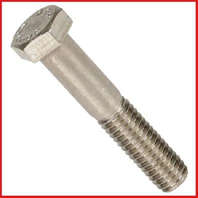 Stainless Steel Hex Bolt