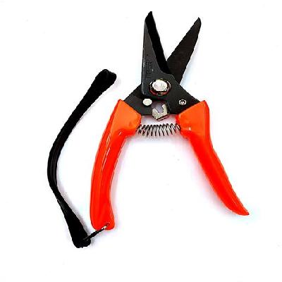 Pruning Shear