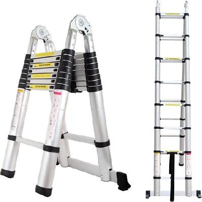 Telescopic Ladder