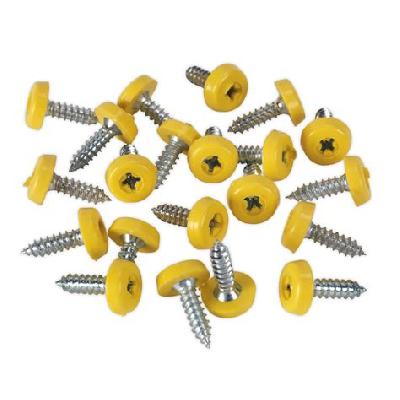 Number Plate Screw