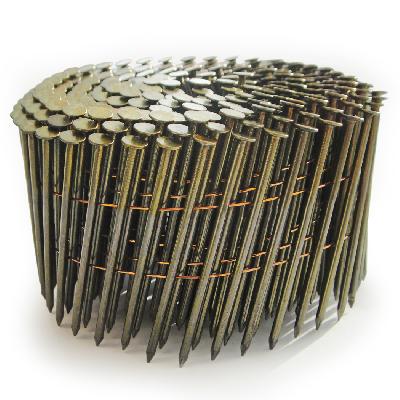 Coil Nail