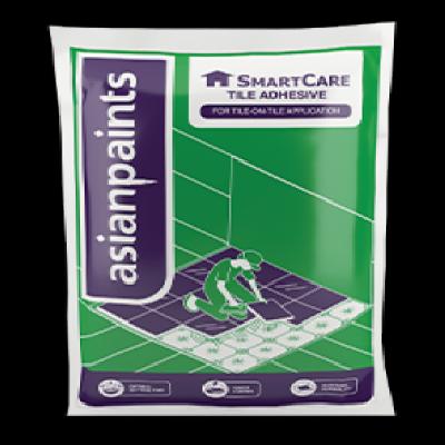 Asian Paints Smartcare Painting Tray 960