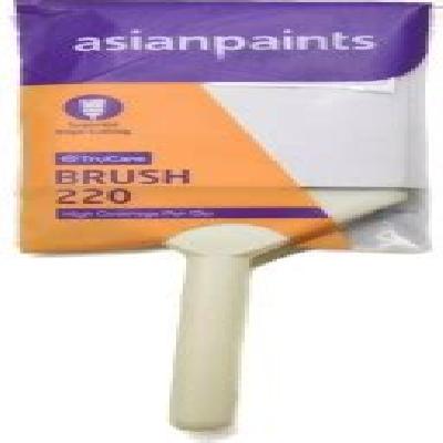 Asian Paints TruCare Brushes For South