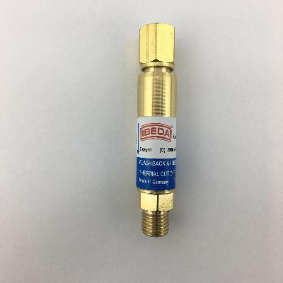 Flesh back arrestor for regulator