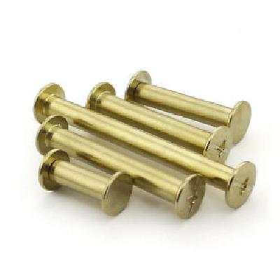 Brass Album Screw