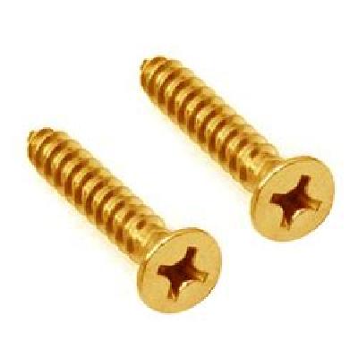 Brass Csk Head Screws 
