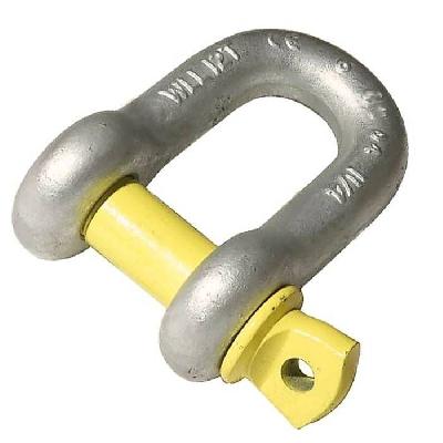 Alloy Steel D Shackle