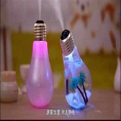 Bulb Humidifier