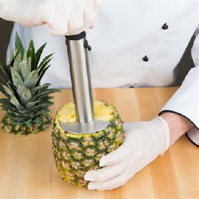 Stainless Steel Pineapple Cutter