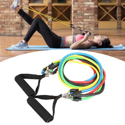 Resistance Exercise Bands