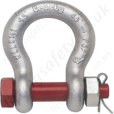 Bow Shackle -Nut Bolt Type