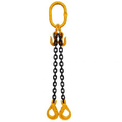 Chain Sling  - 2 Leg