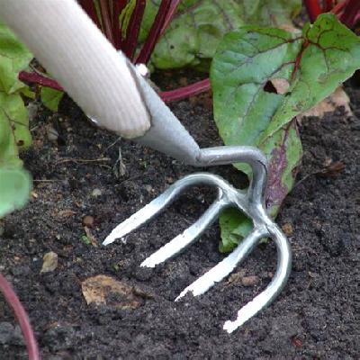 Rake