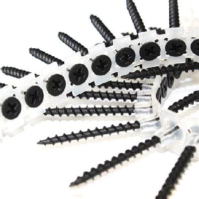BeA Collated Dry Wall Screw