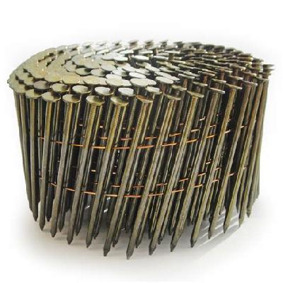 Coil Nail