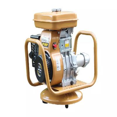 Petrol Concrete Vibrator