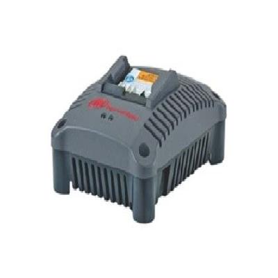 Bc1110 12V Battery Charger