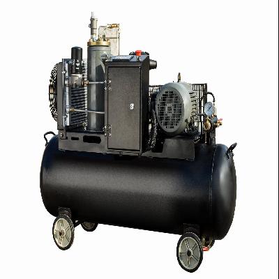 Small Rotary Screw Air Compressors