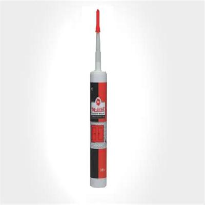 Pidilite 25 A M Seal Acetoxy Cure Silicon Sealant
