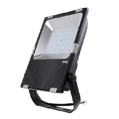50W Rigel Flood Light
